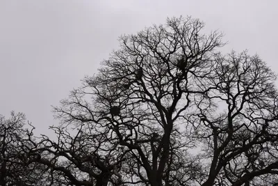 DSC_5867 (Large).JPG